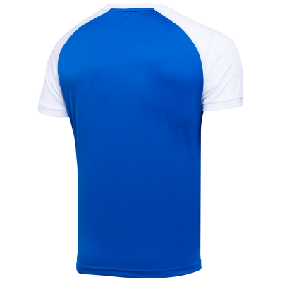 Футболка игровая CAMP Reglan Jersey JFT-1021-071, синий/белый